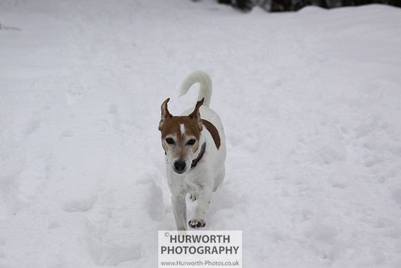 Snow 065