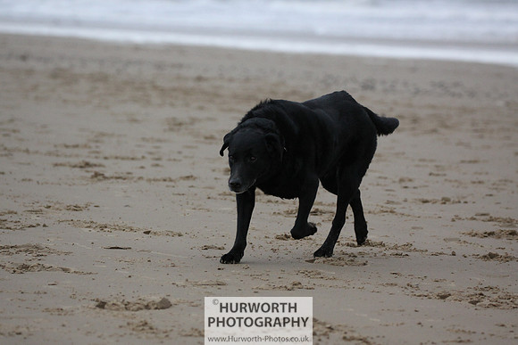 Redcar Beach 013