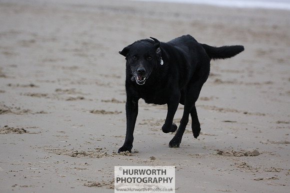 Redcar Beach 014