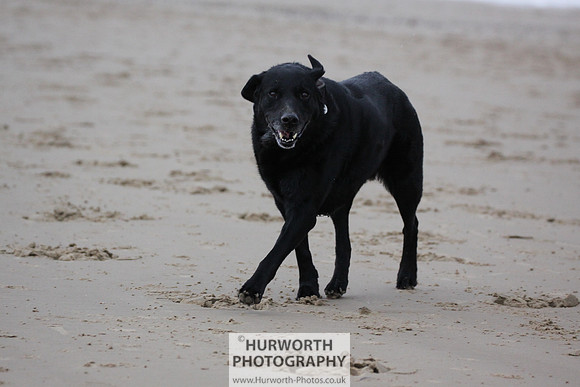 Redcar Beach 015