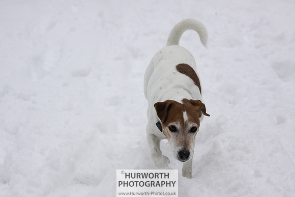 Snow 067