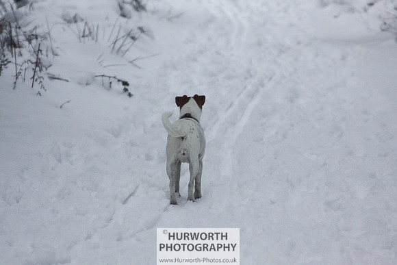 Snow 068