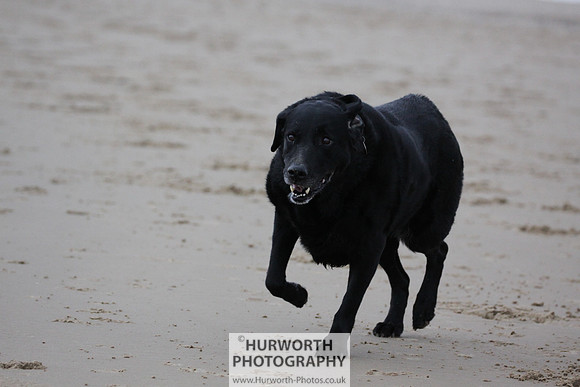 Redcar Beach 016