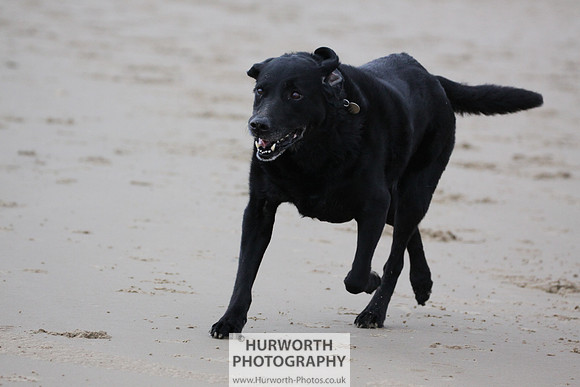 Redcar Beach 017