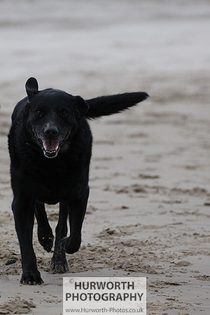 Redcar Beach 018