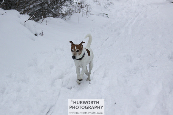 Snow 070