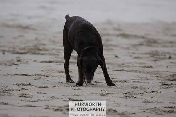 Redcar Beach 019