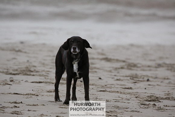 Redcar Beach 020