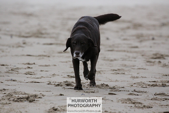 Redcar Beach 021