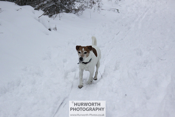 Snow 071