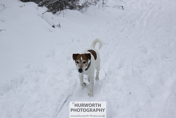 Snow 072