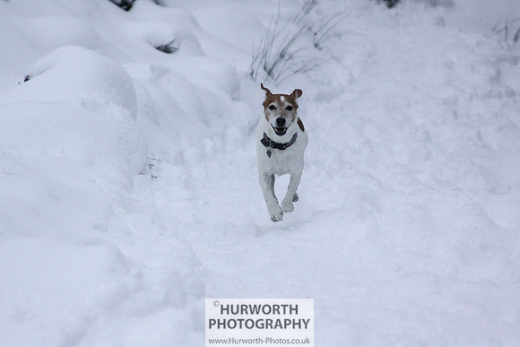 Snow 073