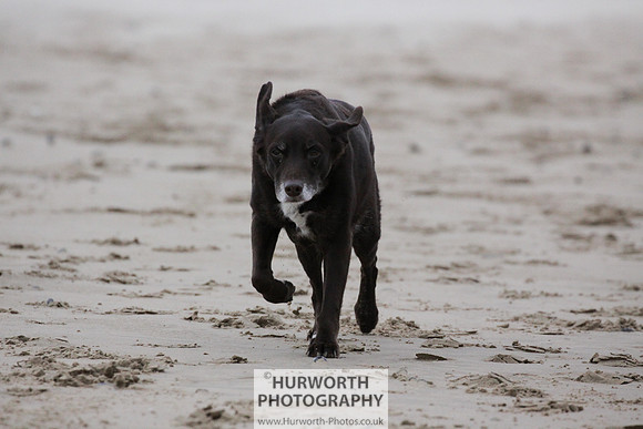 Redcar Beach 022
