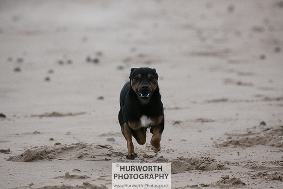 Redcar Beach 024