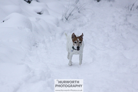 Snow 074