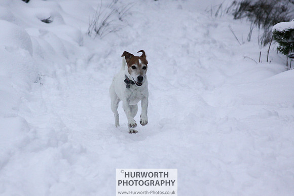 Snow 075