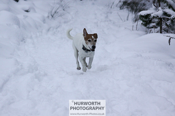 Snow 076