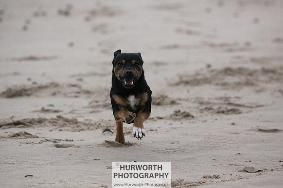 Redcar Beach 025