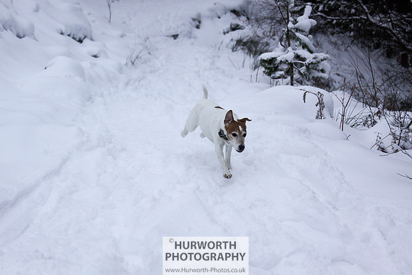 Snow 077