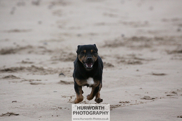 Redcar Beach 026