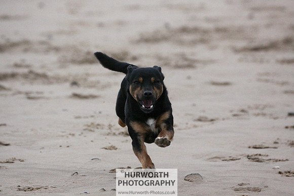 Redcar Beach 027