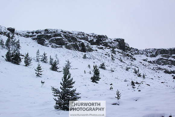 Snow 078