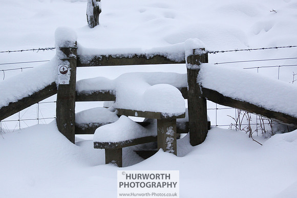 Snow 079