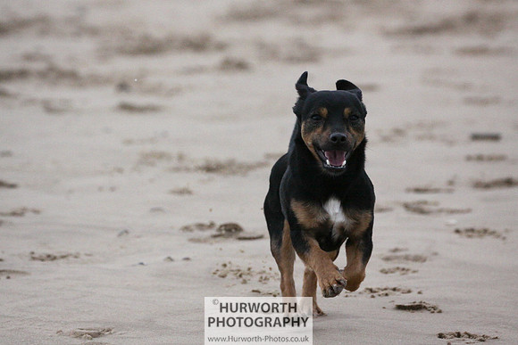 Redcar Beach 028