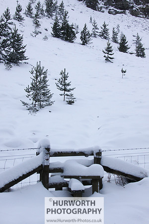Snow 080