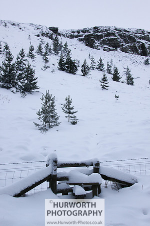 Snow 081