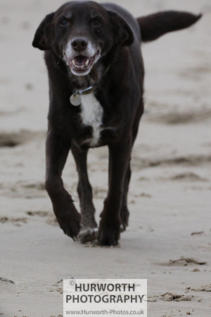 Redcar Beach 029