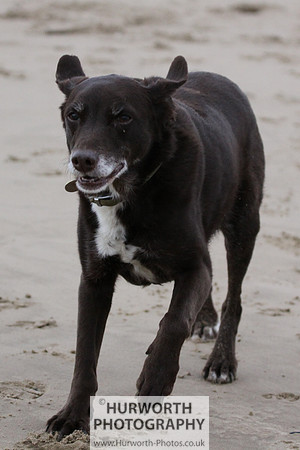 Redcar Beach 030