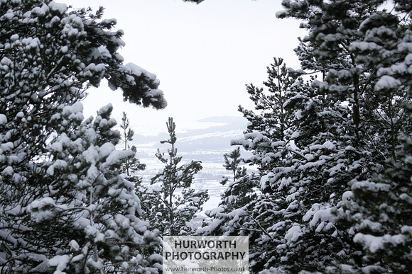 Snow 082