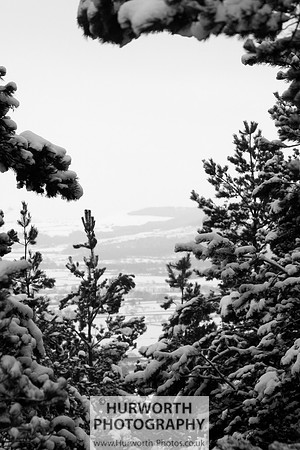 Snow 084
