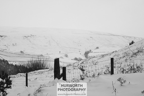 Snow 088