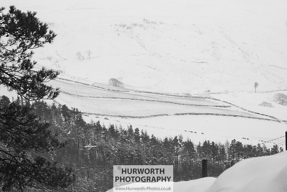 Snow 089