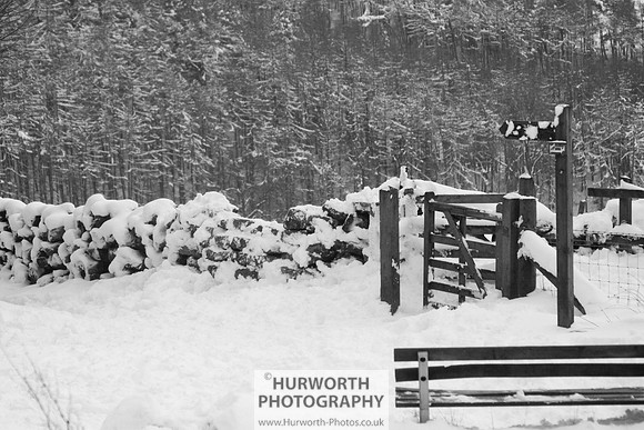 Snow 091