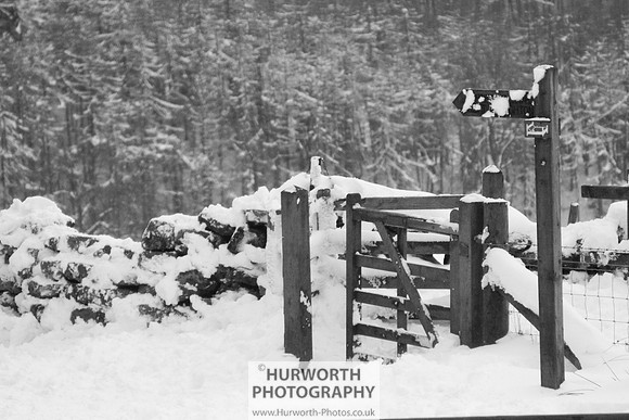 Snow 092