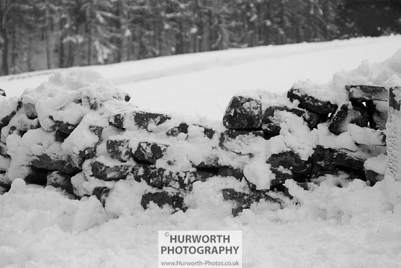 Snow 093
