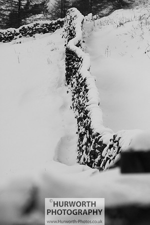 Snow 095