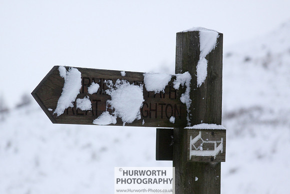 Snow 094