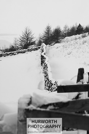 Snow 096