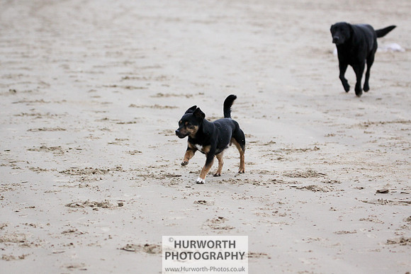 Redcar Beach 046