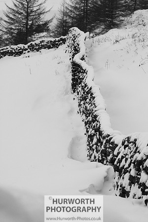 Snow 097