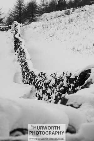 Snow 098