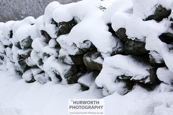 Snow 100