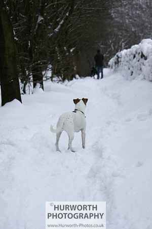 Snow 101