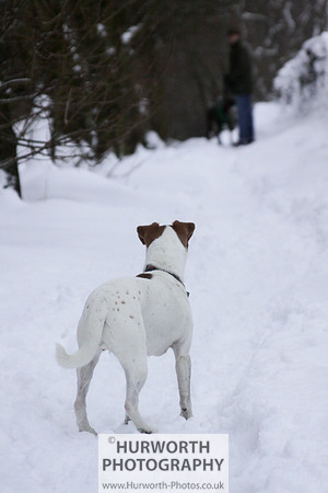Snow 102