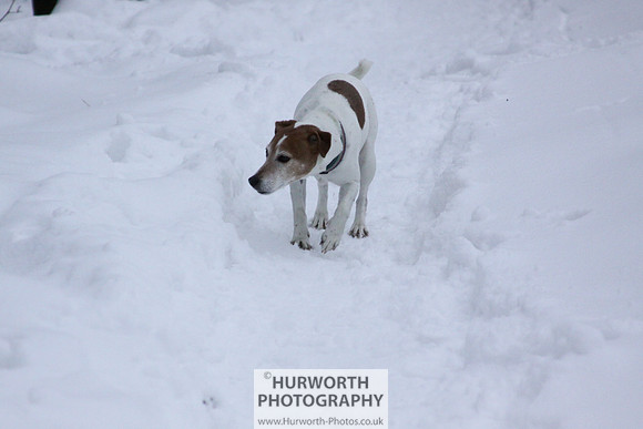 Snow 103