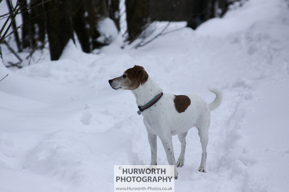 Snow 104
